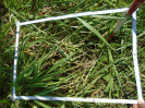PA_1001_4_43c