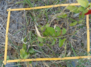PA_1004_1_231c