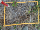 PA_1004_1_232d