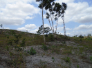 PA_1004_1_233