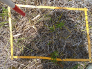PA_1004_2_235a