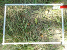 PA_1009_4_20b