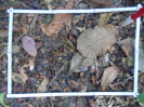 PA_1048_1_235b