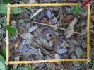 PA_1049_1_195b