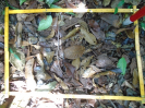 PA_1049_1_196c
