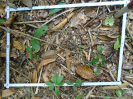 PA_1050_1_117c