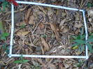 PA_1050_3_128d