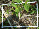 PA_1051_2_98b