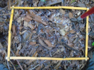 PA_1063_2_573c