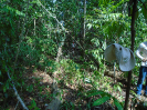 PA_1065_0_02