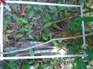 PA_1065_1_04a