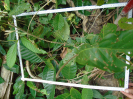PA_1065_1_05b
