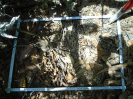 PA_1065_1_06c
