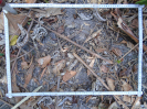 PA_1065_1_07d