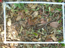 PA_1065_2_09a