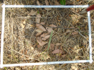 PA_1065_2_10b