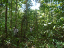 PA_1102_1_96