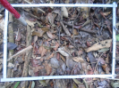 PA_1102_1_97a