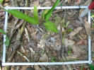 PA_1102_1_99c