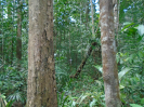 PA_1102_2_101