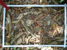 PA_1102_2_102a
