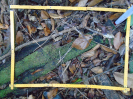 PA_1103_1_217b