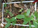 PA_1107_2_149b