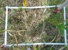 PA_1113_3_175b