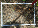 PA_1113_3_176c