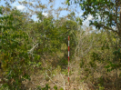 PA_1113_4_178