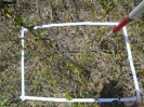 PA_1113_4_181c
