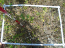 PA_1113_4_182d
