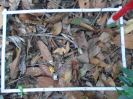 PA_1218_1_05b