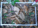 PA_1218_2_12c