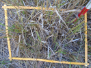 PA_1220_1_140b
