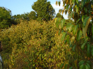 PA_1220_2_143