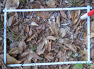 PA_1220_2_146c