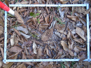 PA_1220_2_147d