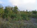 PA_1220_3_148