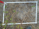 PA_1220_3_152d