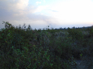 PA_1220_4_153