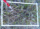 PA_1220_4_157d
