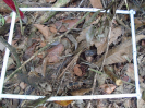 PA_1221_1_04a