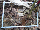 PA_1221_1_05b