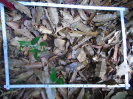 PA_1221_1_07d