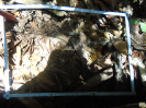 PA_1221_2_09a