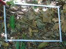 PA_1221_2_12d