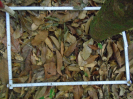 PA_1221_4_19a