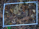 PA_1221_4_21c