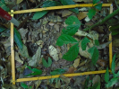 PA_1222_1_98d